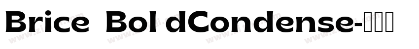 Brice  Bol dCondense字体转换
